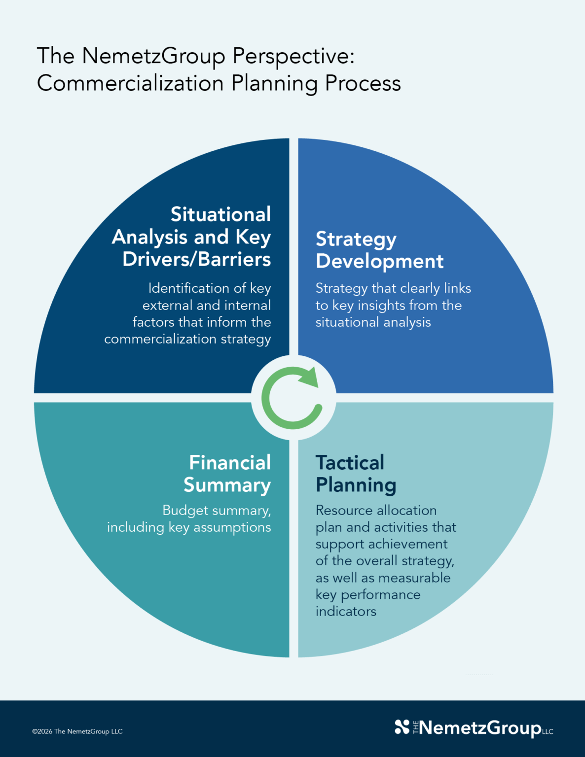 Process Unleashes Innovation • The NemetzGroup